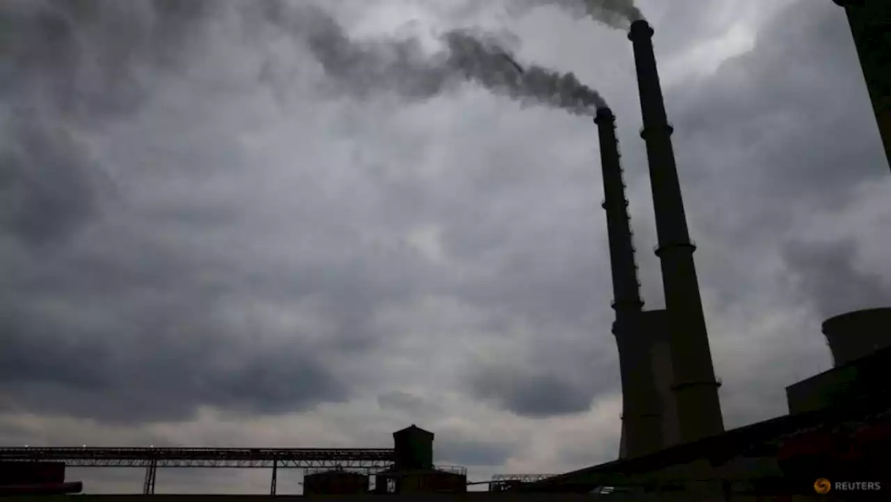 China's thermal coal futures mute as Beijing reins in commodity inflation