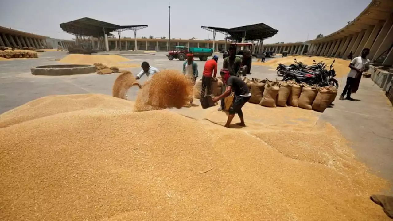 Explainer-What India's u-turn on wheat exports means for world markets