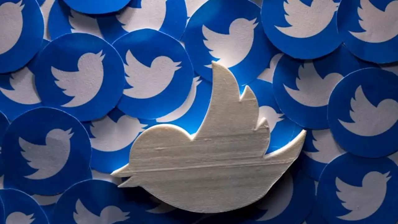 Twitter CEO defends company's count of spam accounts after Musk criticism