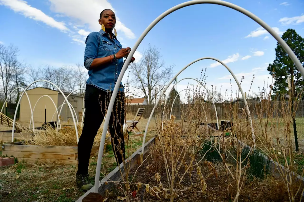 Farming provides veteran and mother the nurturing, grounding she was looking for