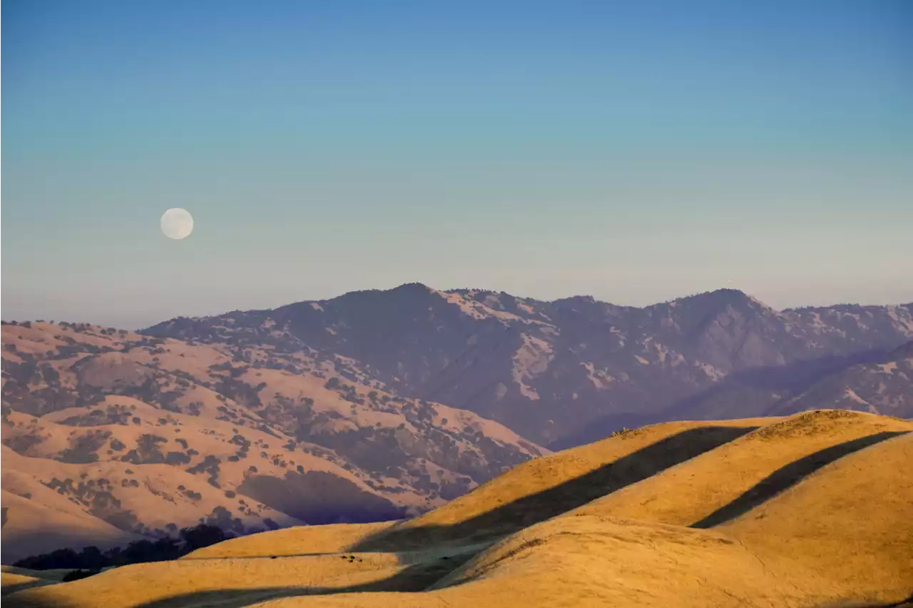 Graveyard DNA Reveals 2,000 Years of Tribal Presence in California