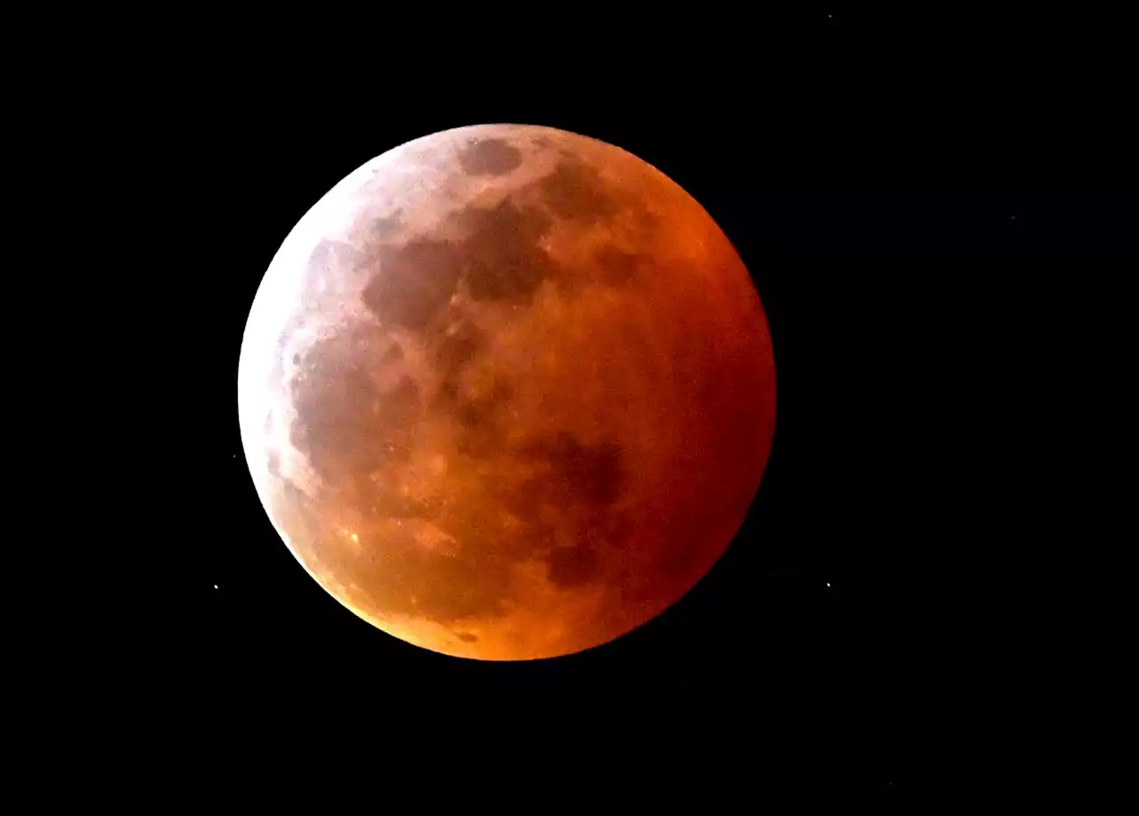 Video: Super Flower Blood Moon lunar eclipse, as seen from San Antonio