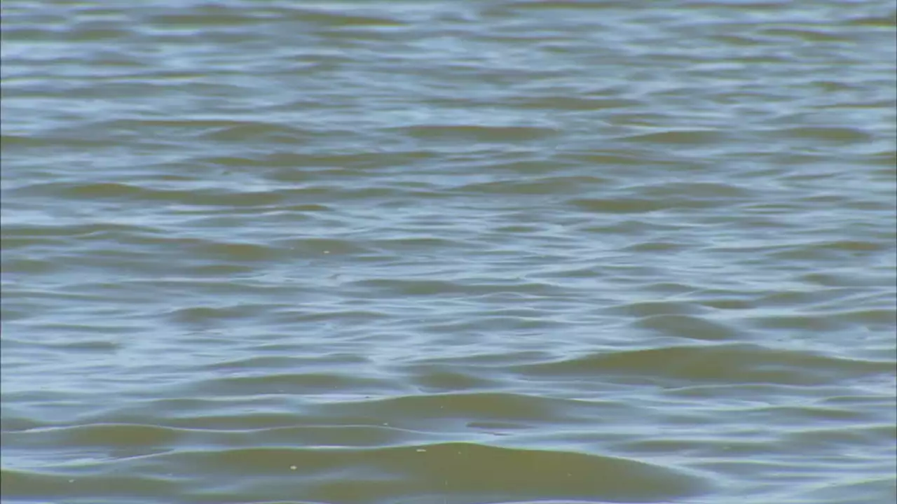 Man drowns near Lewisville Lake dock