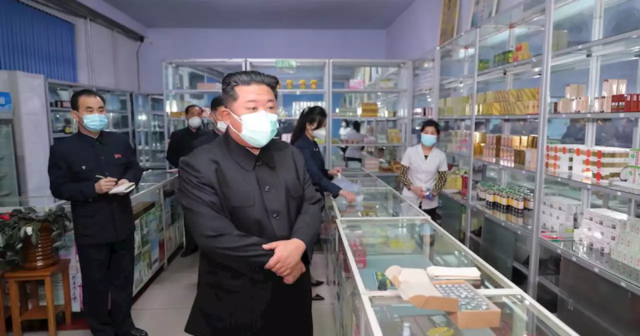 Lacking vaccines, N.Korea battles Covid with antibiotics, home remedies | Malay Mail