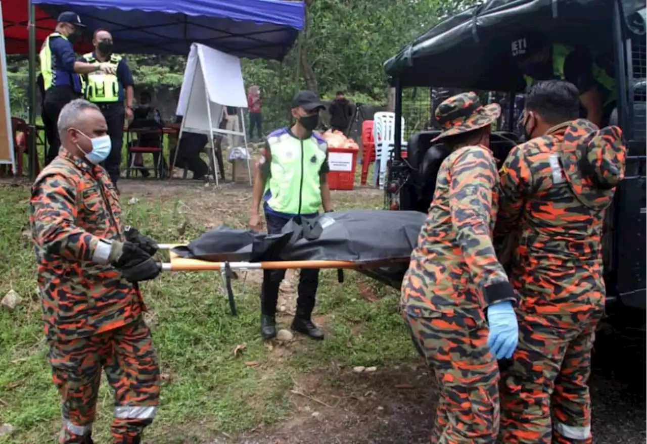 Jabatan Perhutanan Perak henti sementara aktiviti daki Gunung Suku | The Malaysian Insight