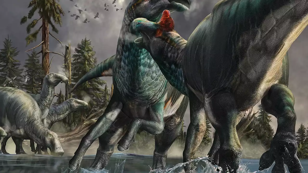 See how we’re reimagining dinosaurs in today’s ‘golden age’ of paleontology