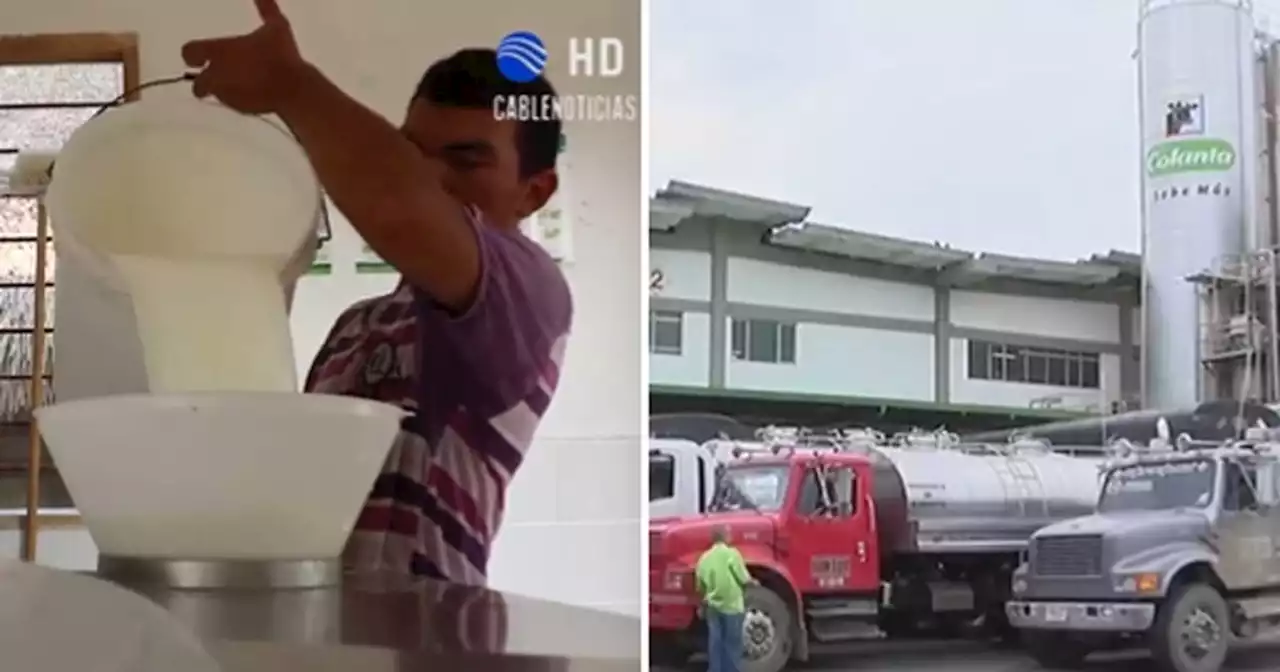Proveedores de leche de Colanta denuncian que recibieron carta para que consideren su voto