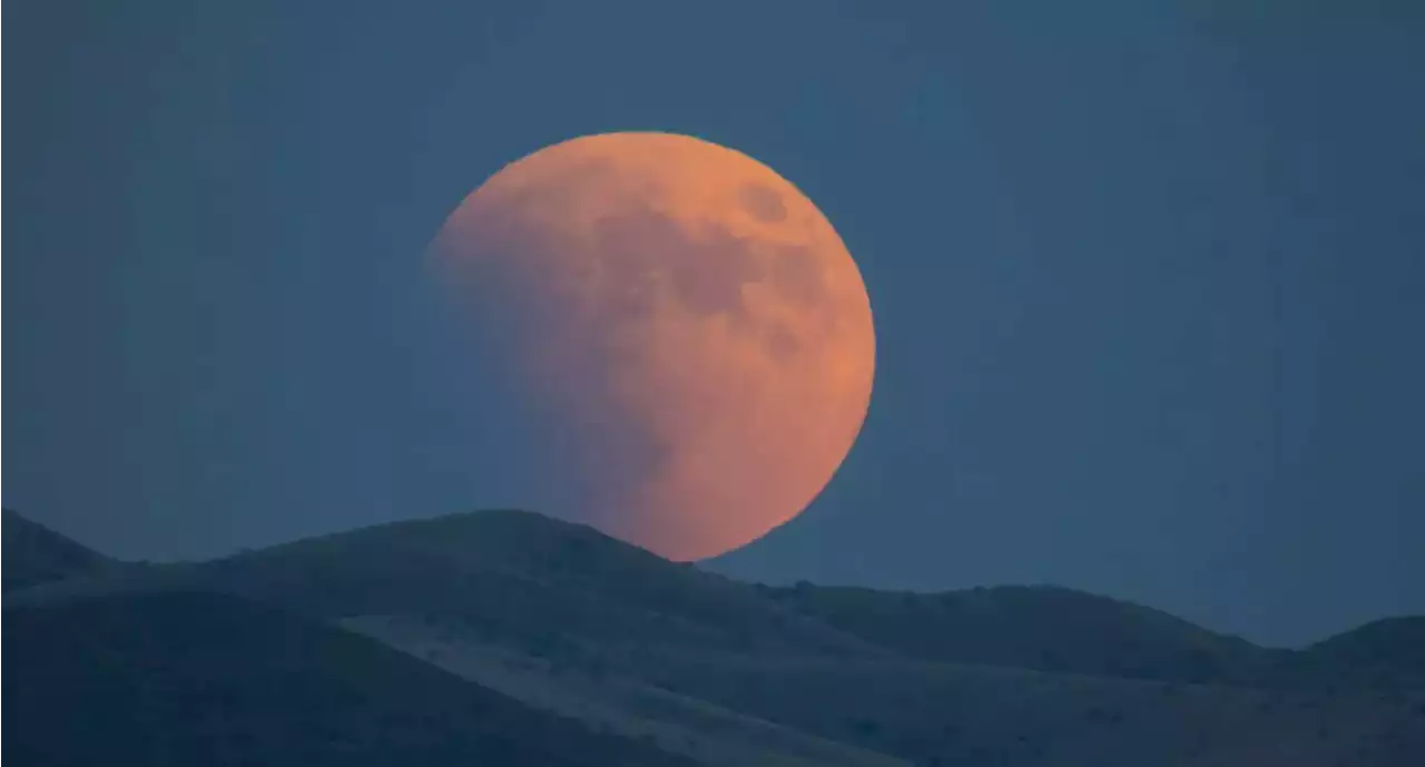 Transmisión en vivo: ver el eclipse lunar en Colombia; lo llaman 'la superluna de sangre' - Pulzo