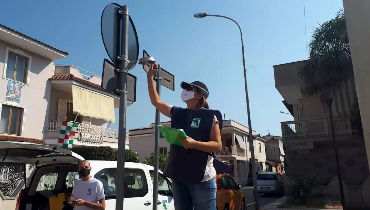 Campania, nasi fini per annusare i miasmi: l'Agenzia regionale per l'ambiente ne cerca 40