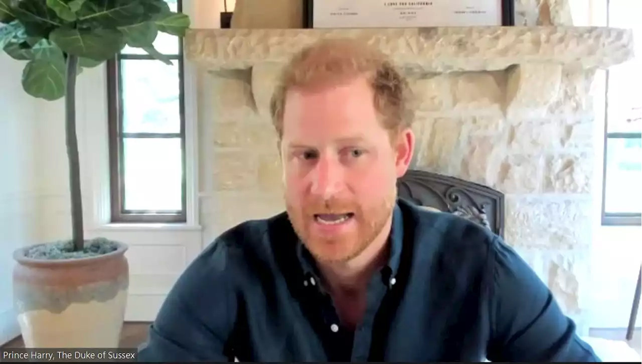 Prince Harry: ‘I hope my children never experience the online world as it exists now’