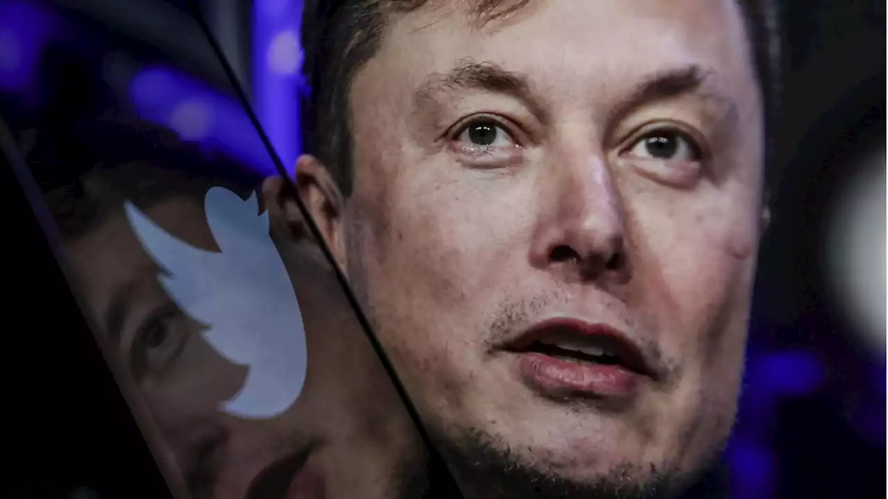 Twitter-Anwälte werfen Elon Musk Vertraulichkeitsbruch vor