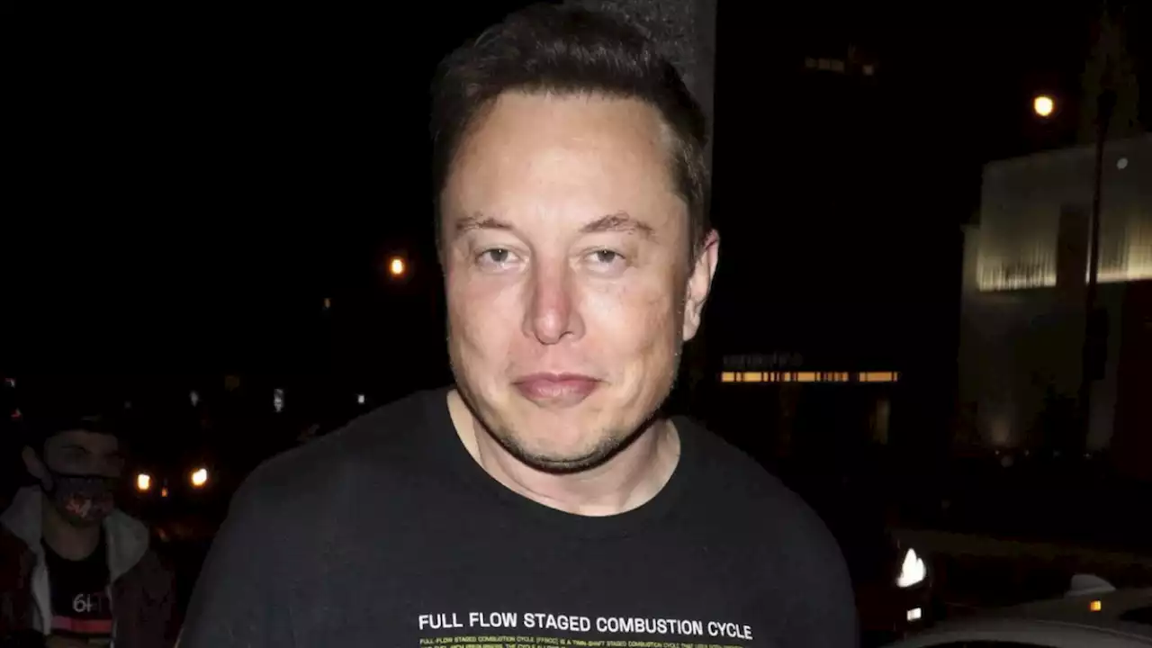 Elon Musk: Ignoriert den Troll