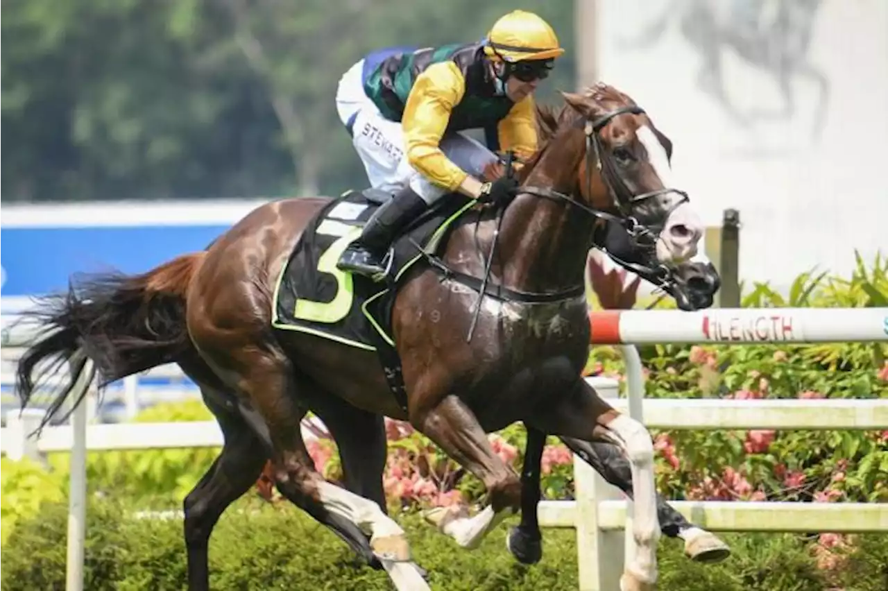 Owners' long wait not in Vain