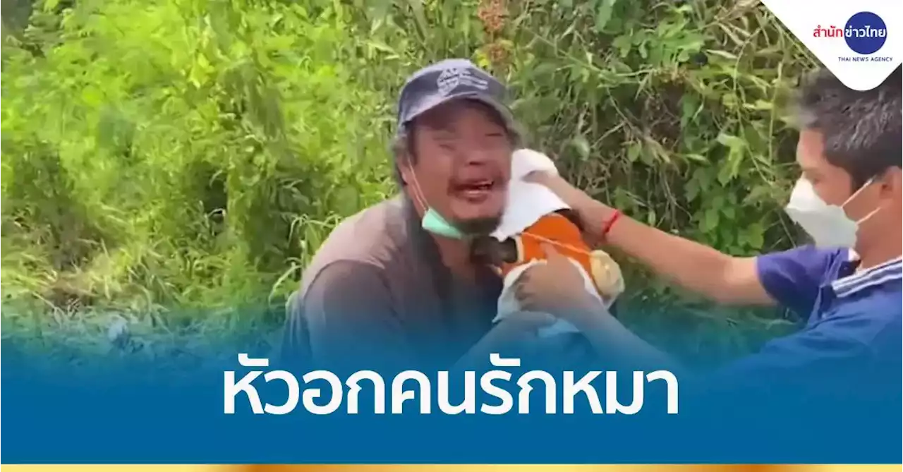 ตัวเจ็บไม่ว่า ขอน้องหมาปลอดภัย
