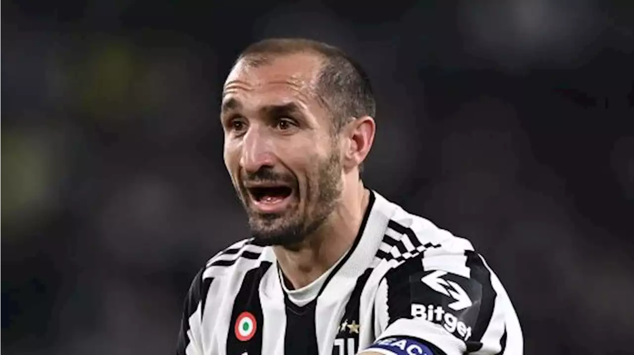 Lo spoiler della Juventus. Ecco le 7 canzoni con cui Chiellini saluterà lo Stadium - TUTTOmercatoWEB.com