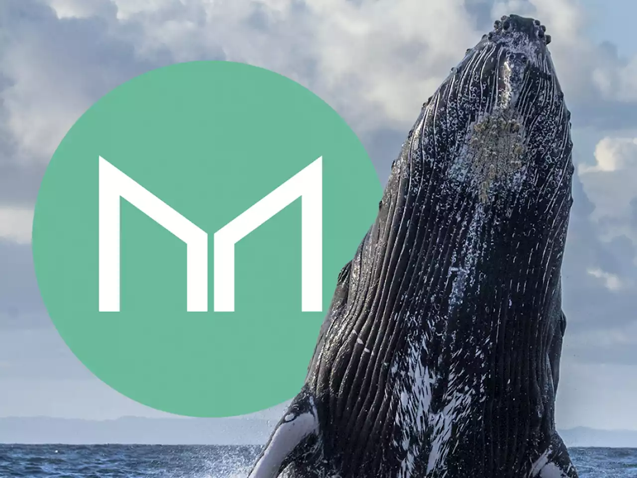 Maker (MKR) Faces 21% Spike in Whale Activity: Details