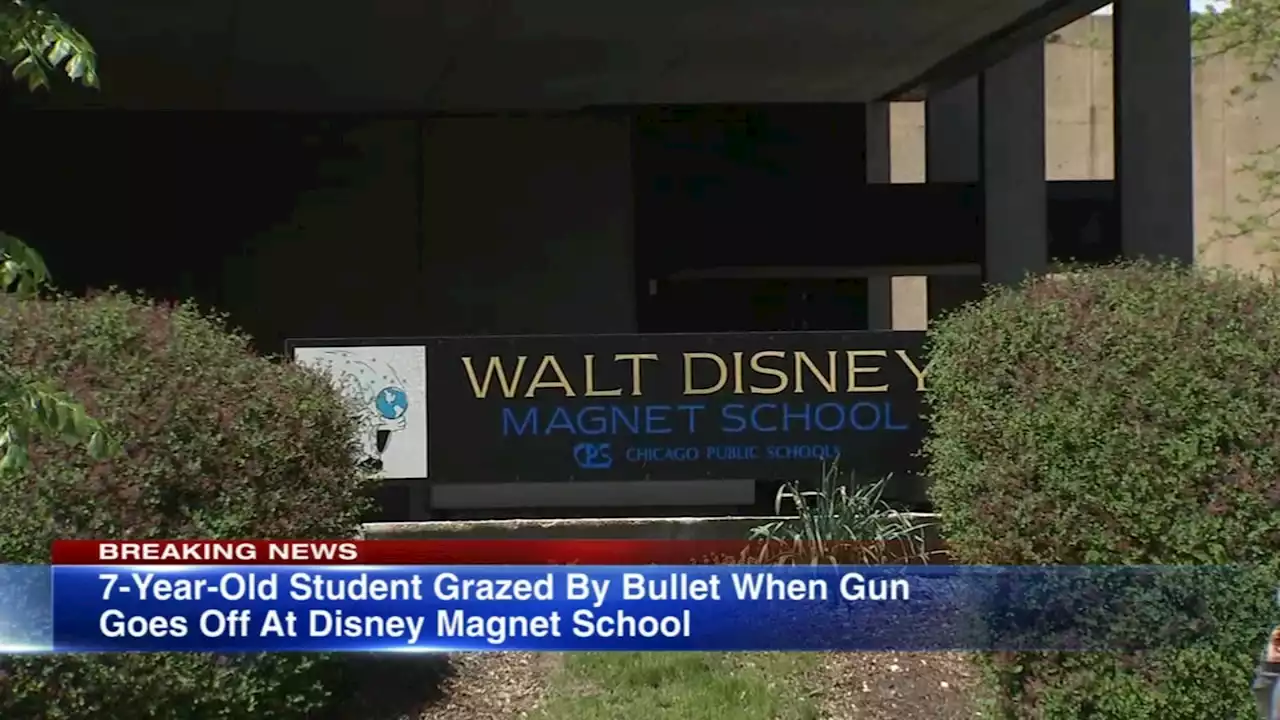 Disney Magnet School student, 7, injured after gun goes off