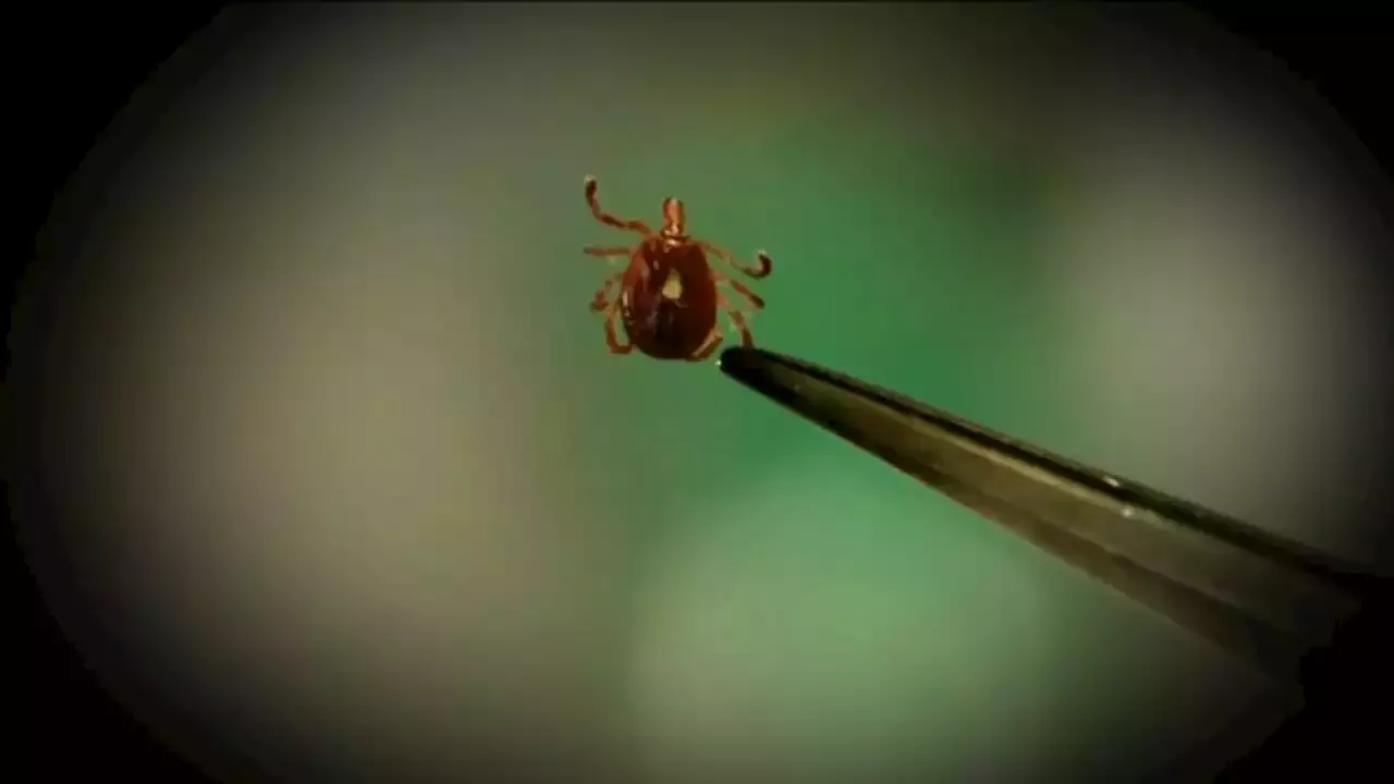 Return of warm weather brings tick season, New York officials issue warning