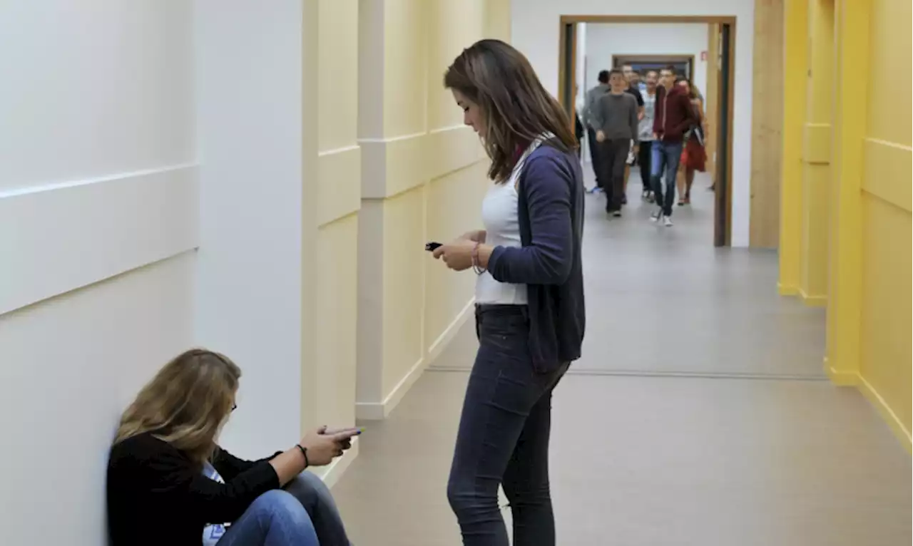 L'idea di un liceo di Ravenna di avere un registro di classe 'gender free'