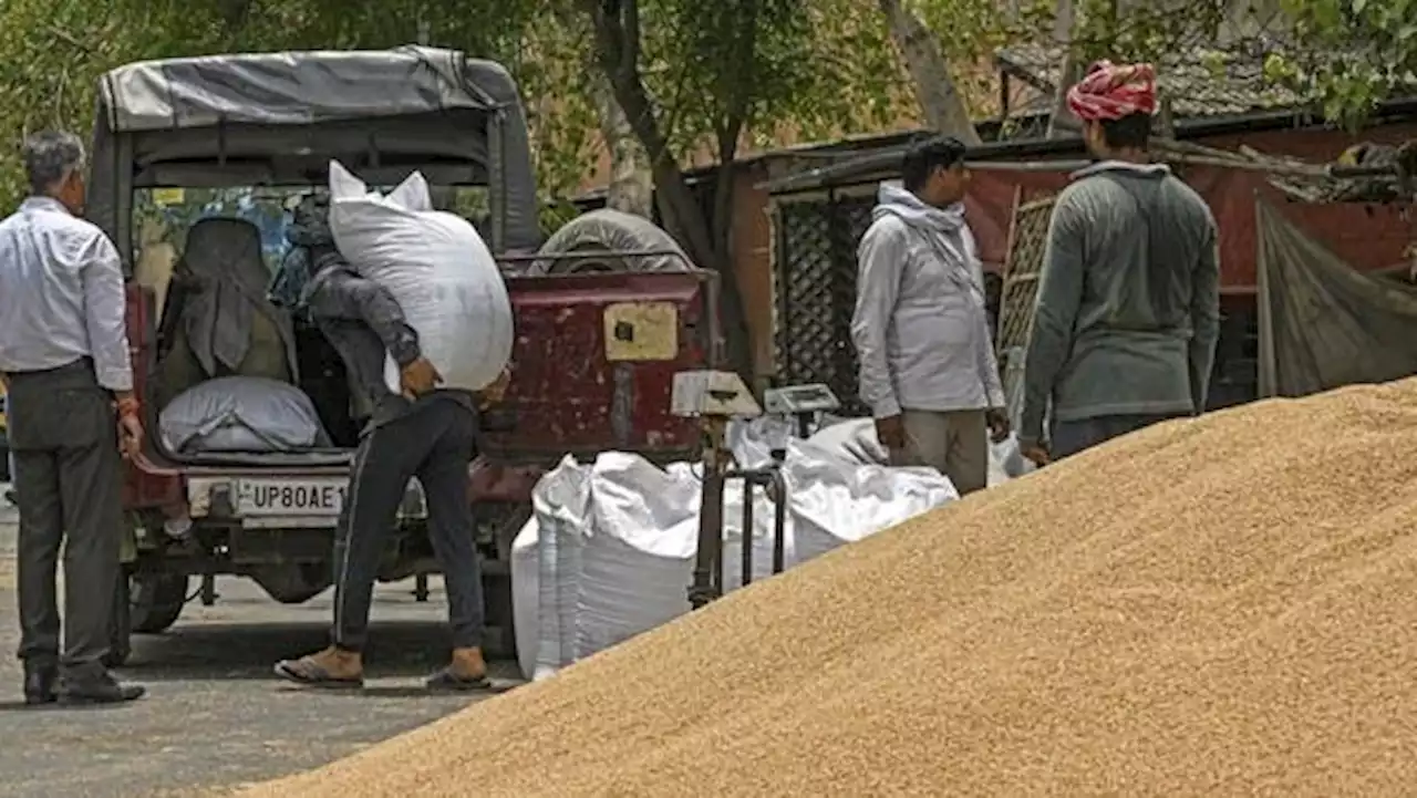 وزير التموين المصري: اتفاق لشراء 500 ألف طن قمح من الهند لم يتم توقيعه حتى الآن