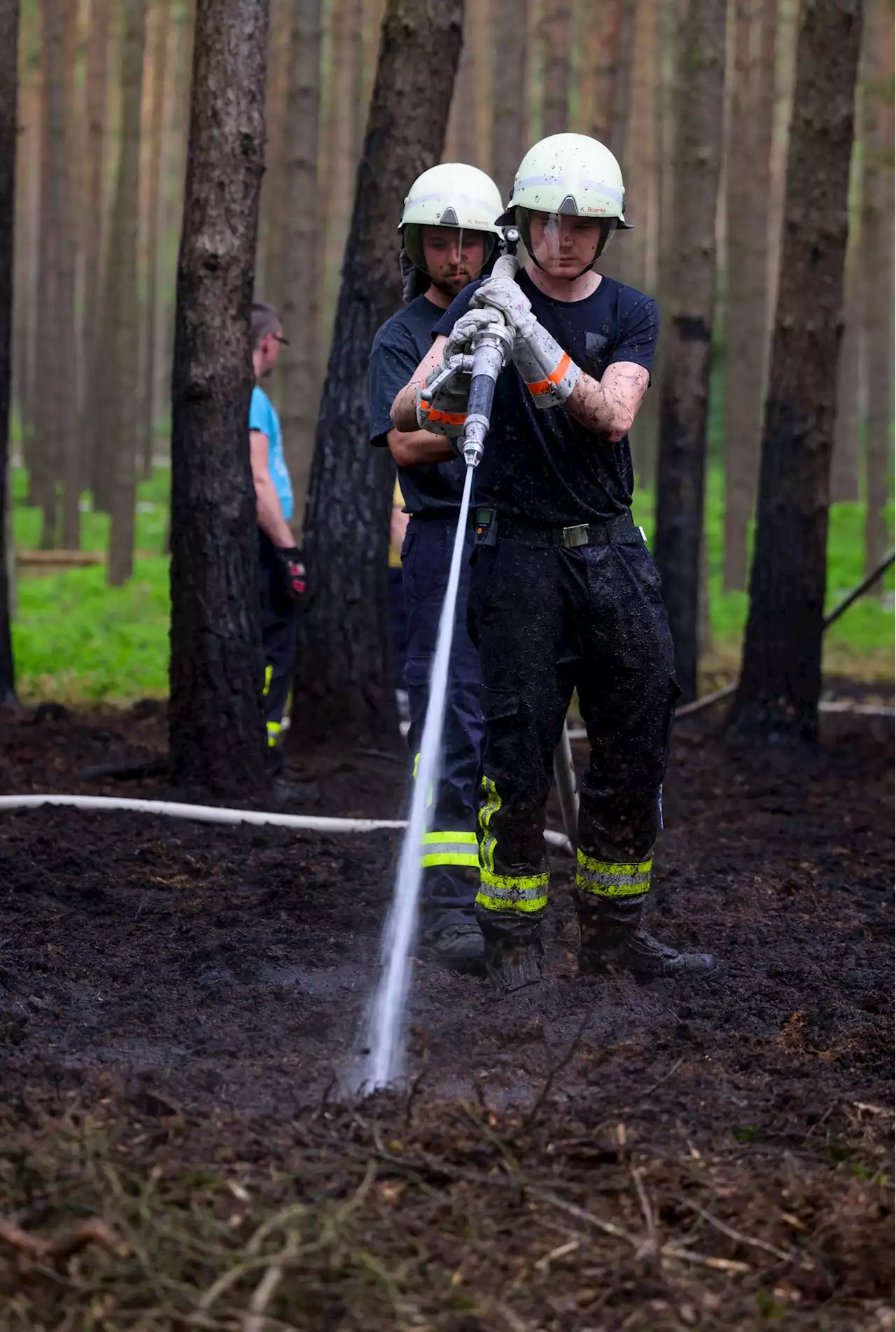 Dürre: Bis zu fünf Waldbrände pro Tag in Brandenburg