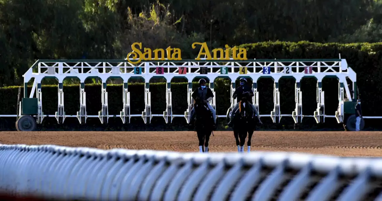 2 racehorses die in 2 days at Santa Anita Park in Arcadia