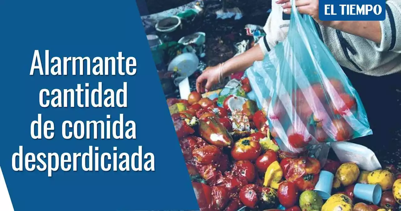 Con la comida que se bota al día, se alimentarían más de 900.000 bogotanos