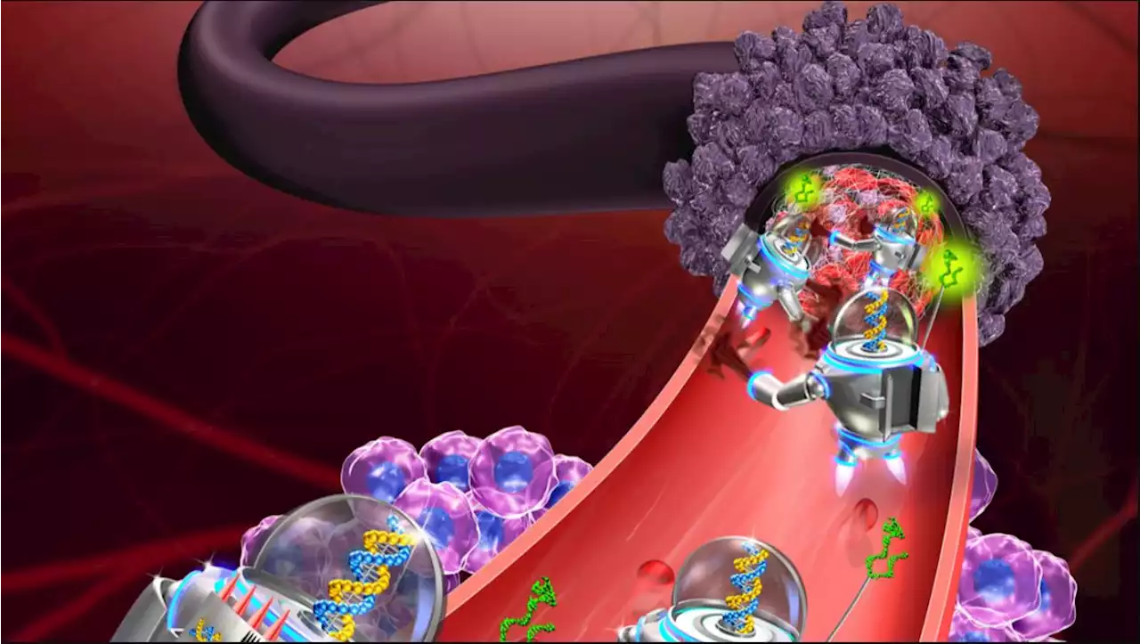 «روبوتات» في مجرى الدم لمحاربة الأمراض.. تقنية ستتحقق