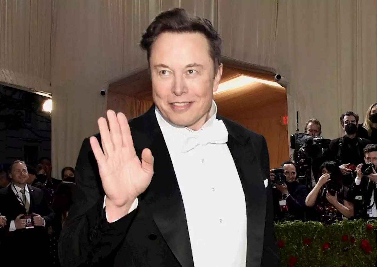 Musk ber skattemyndighetene evaluere antall Twitter-brukere