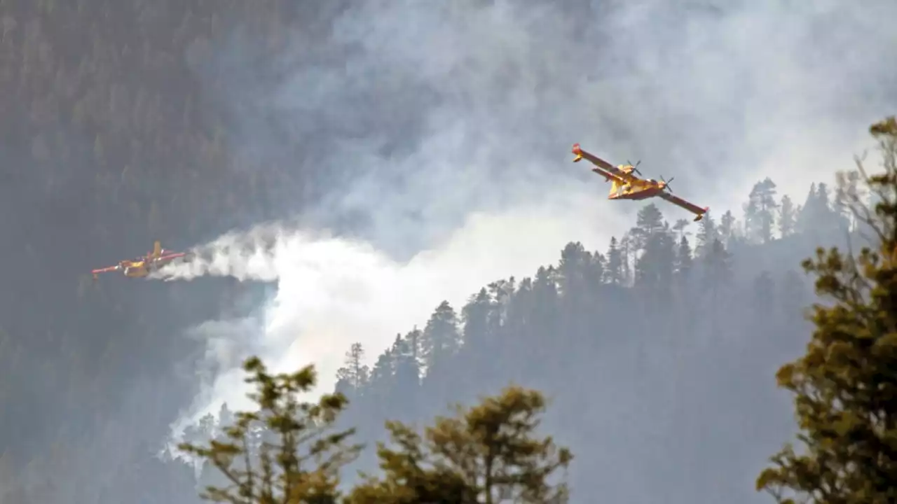 New Mexico wildfire scorches nearly 300,000 acres, becomes largest wildfire in state history