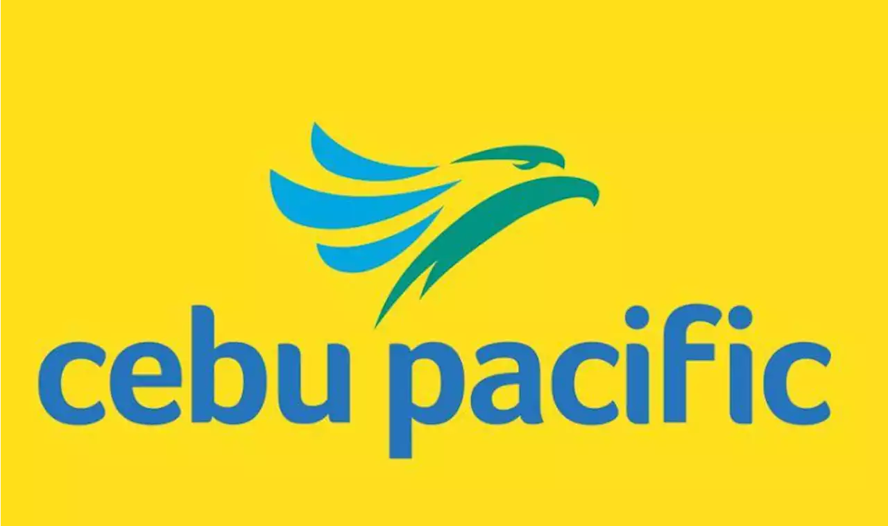 Cebu Pacific apologizes for 'speculative and careless' post of pilot against Robredo