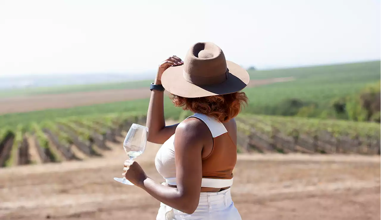 ​‘I’m a Sommelier, and This Is What To Look for When Shopping for Sustainable Wine’