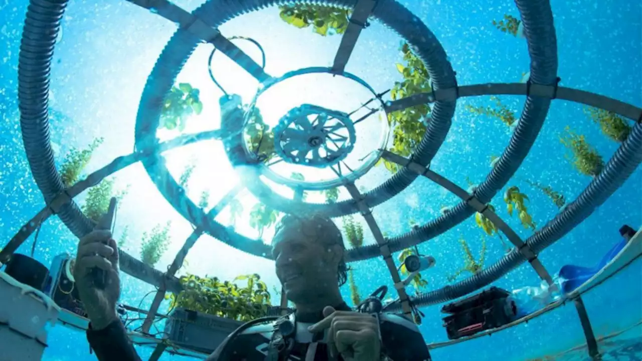 A new underwater greenhouse could reveal the future of agriculture