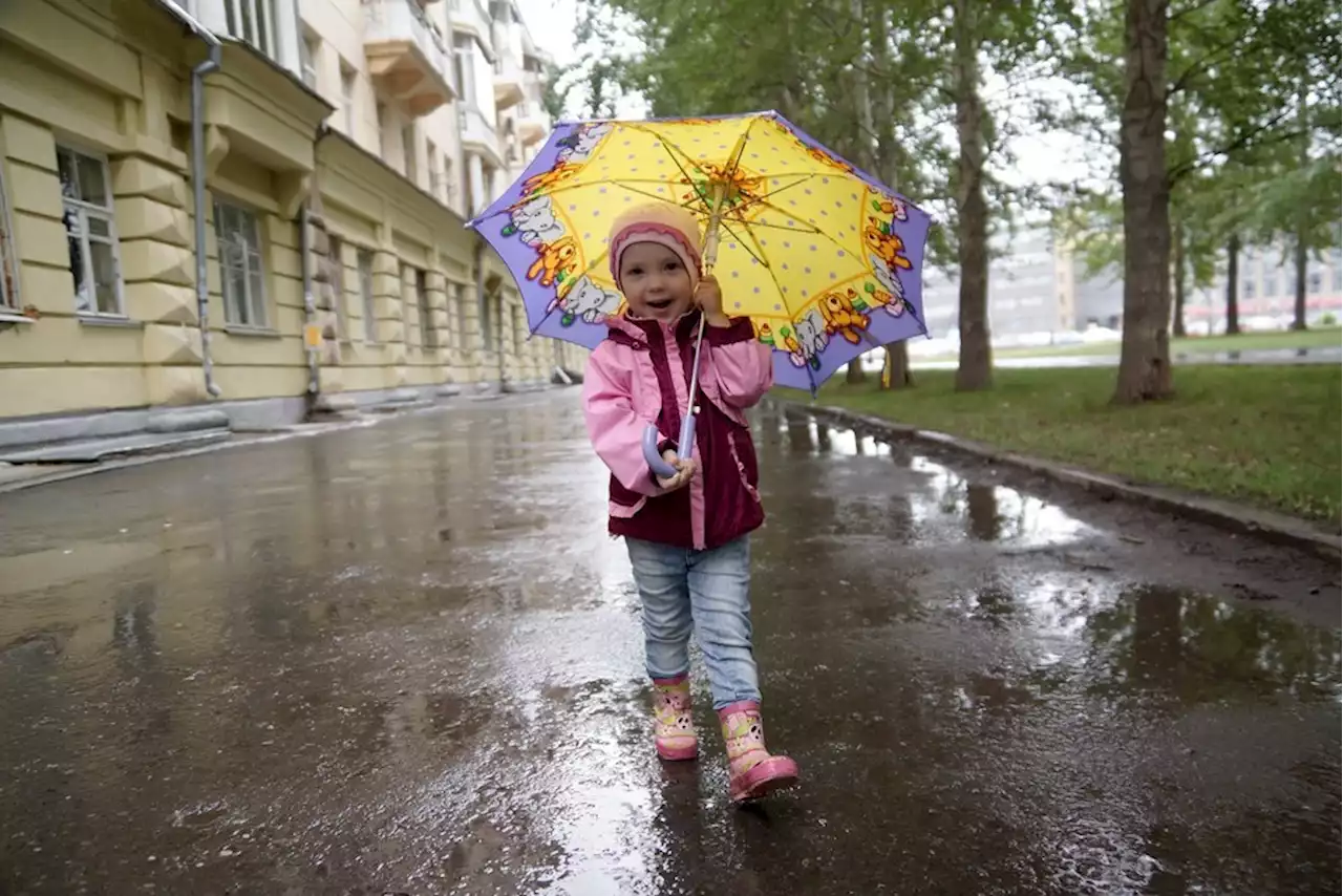 В Москве ожидается небольшой дождь и ветер до 17 м/с