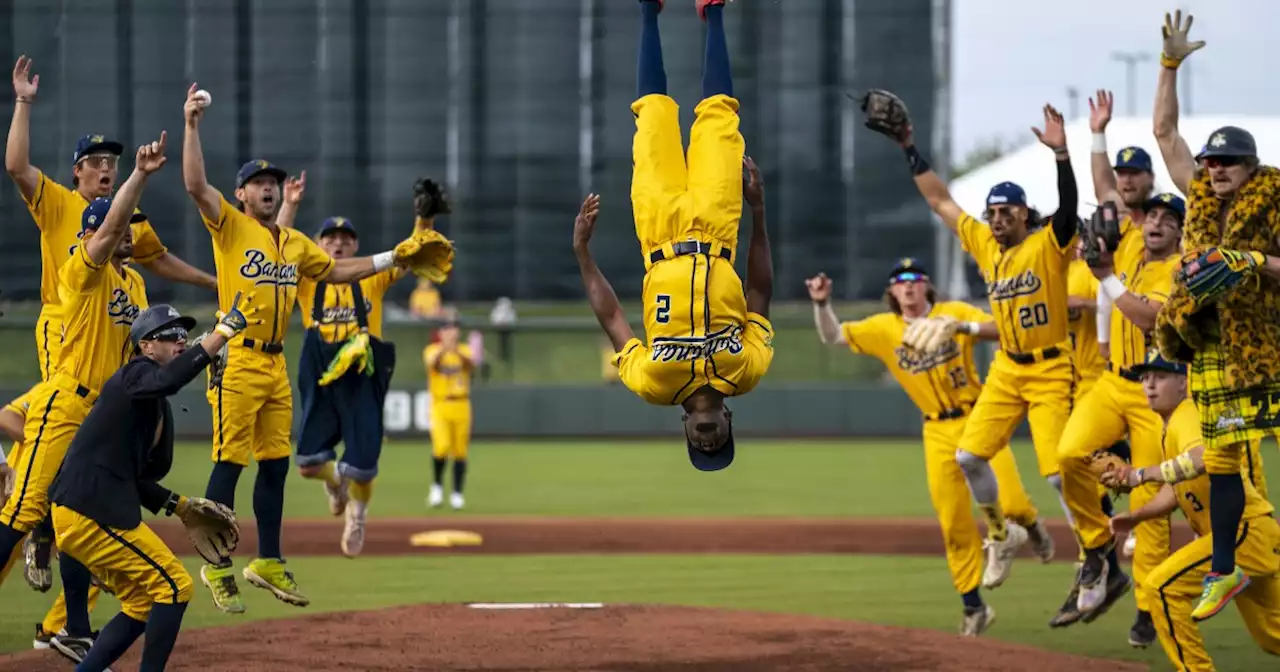 Meet the Savannah Bananas, the baseball team captivating fans and MLB