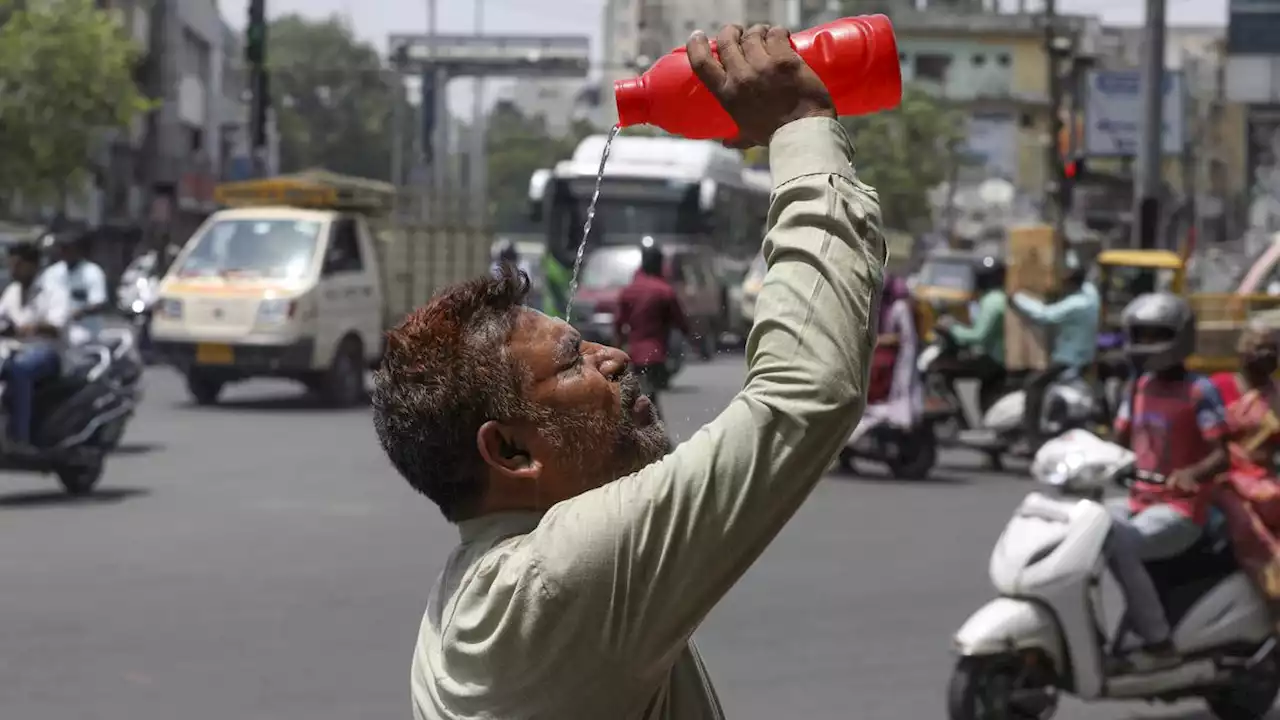 Gelombang Panas, Suhu di India Capai 49 Derajat Celcius