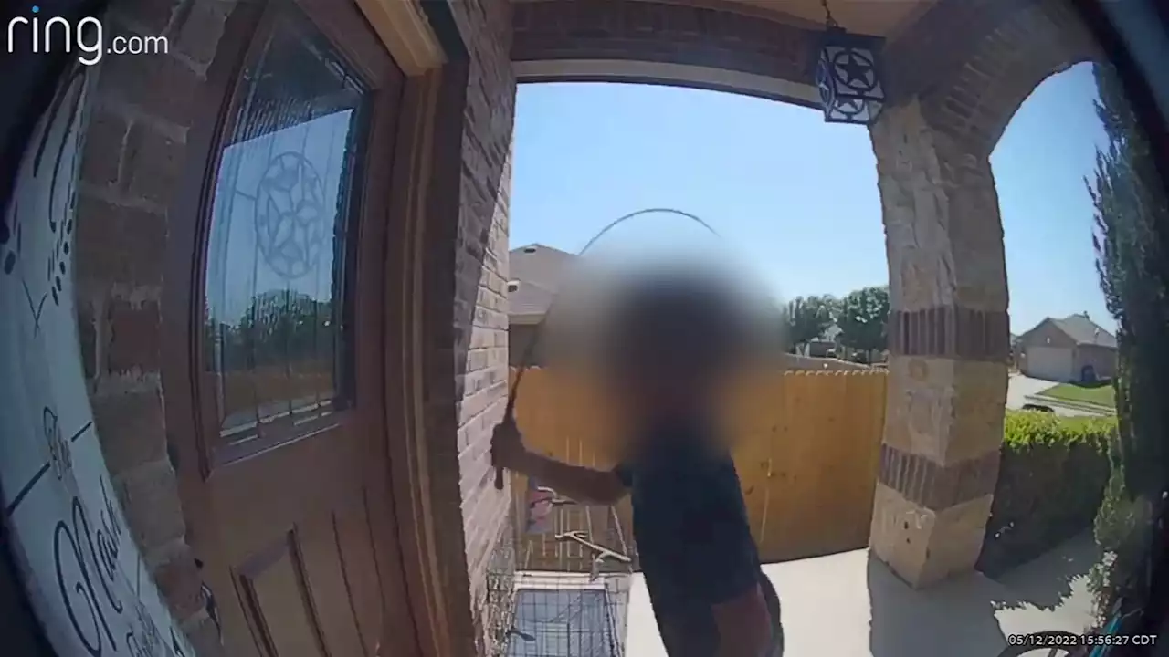 'Racism is Real': Video Shows North Texas Boy at Black Family's Door Cracking Whip