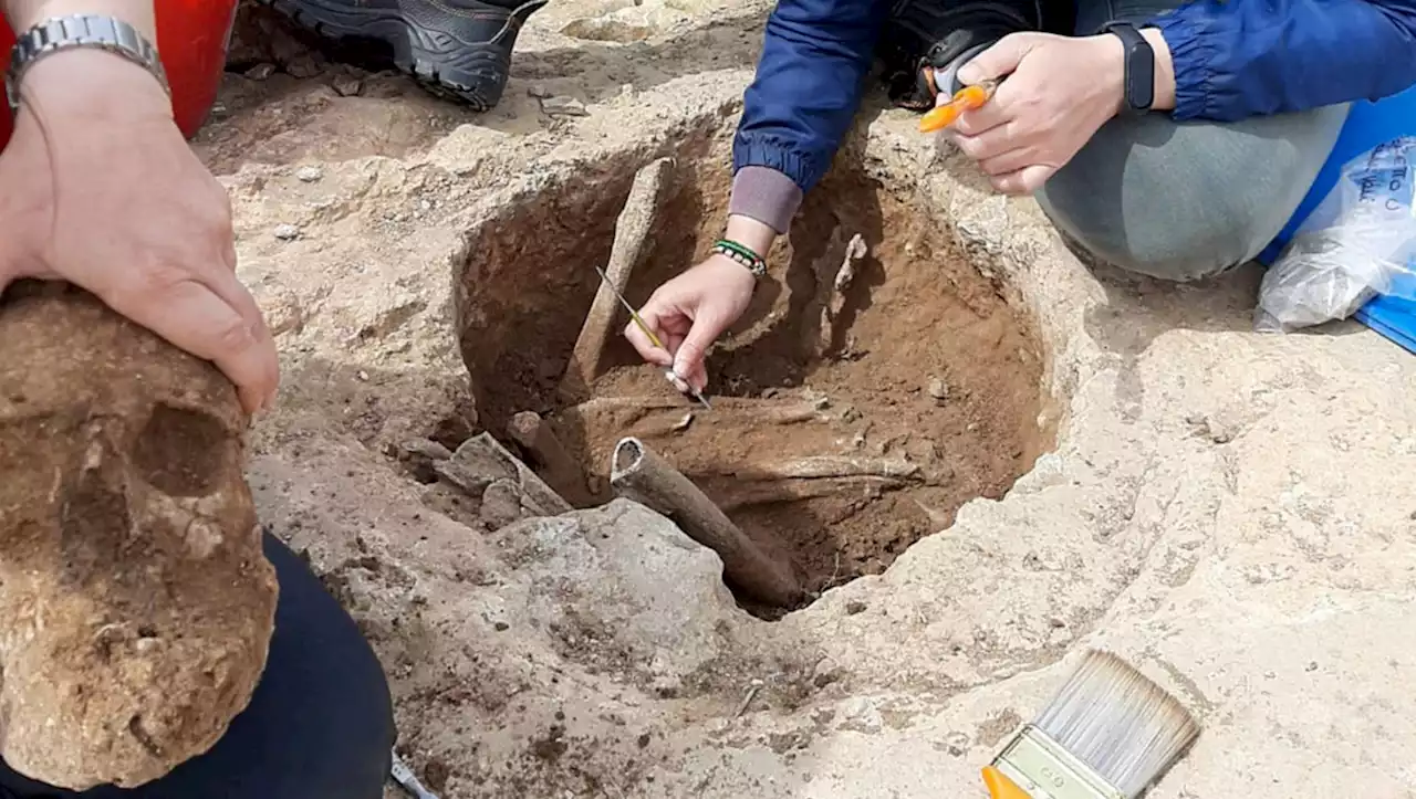 Tomb saviors: 2 giants found In ancient graveyard could have been bodyguards