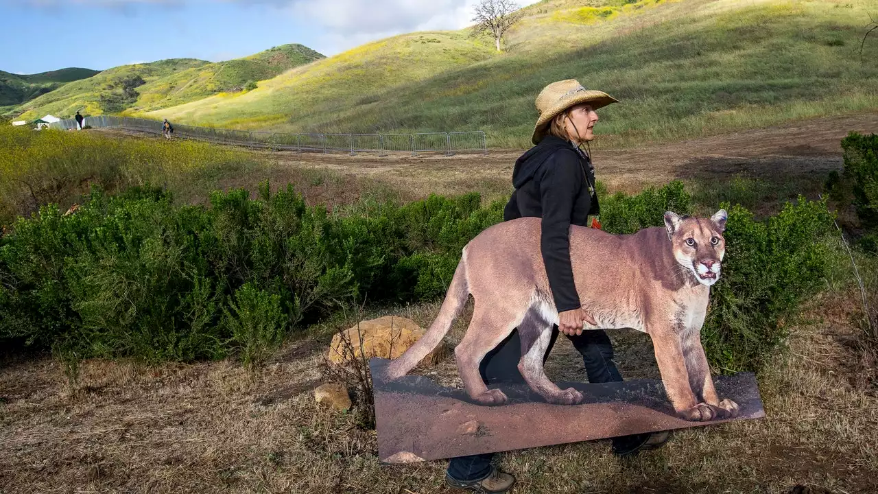 An Urban Wildlife Bridge Is Coming to California