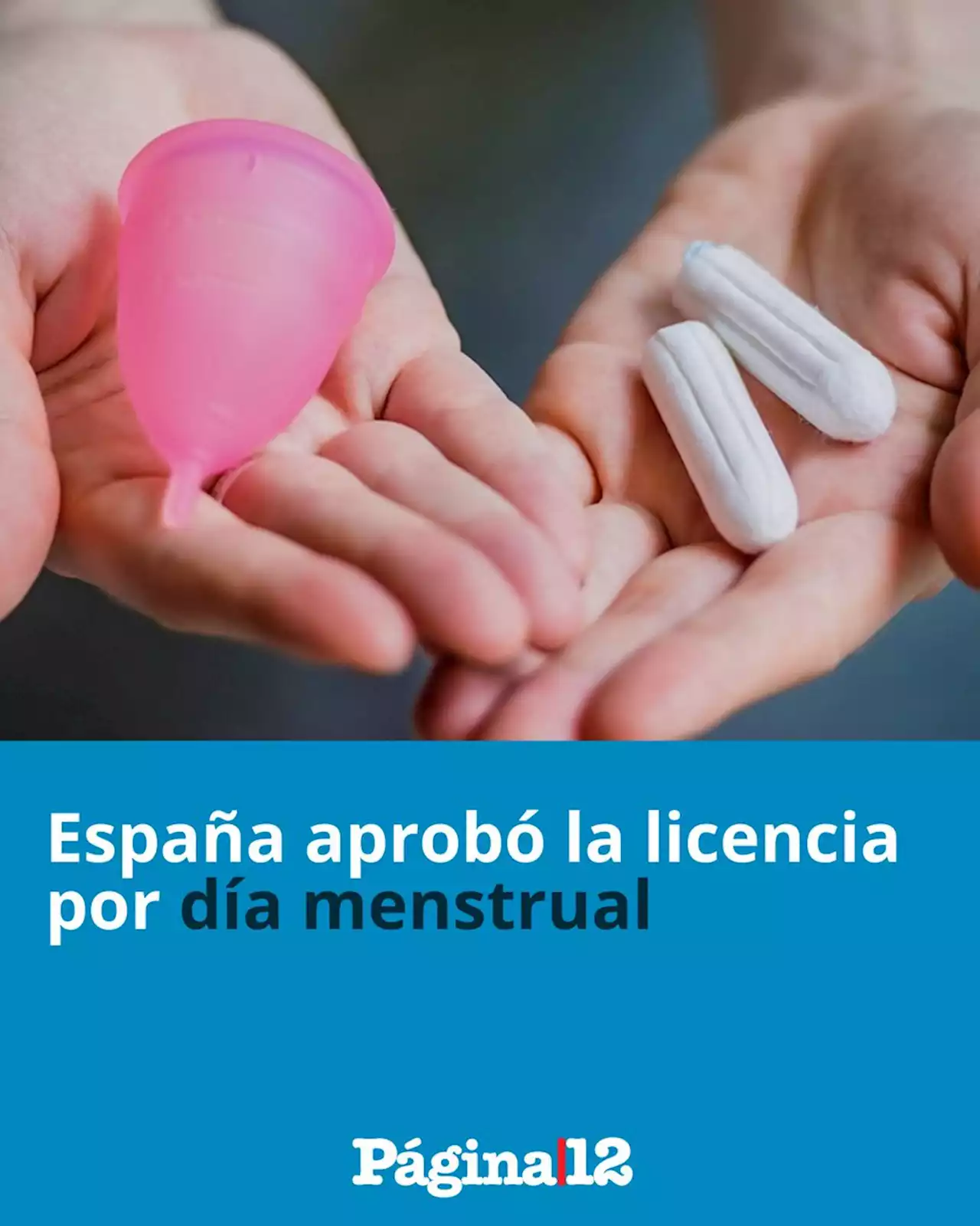 España: el Gobierno aprobó la nueva ley de aborto y la licencia por día menstrual | Una norma que avanza en los derechos de las mujeres