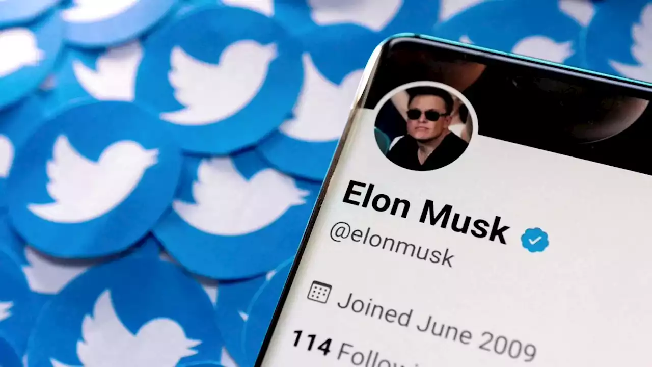 Musk links deal progress on proof of spam bot share on Twitter