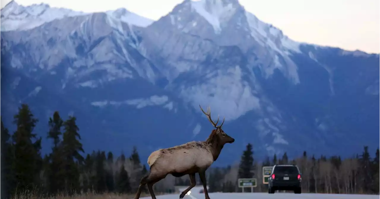 Canada opens public consultations on national climate adaptation strategy