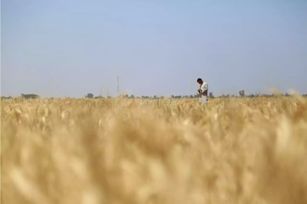 Moscow says G-7 attempts to isolate Russia make global food crisis worse