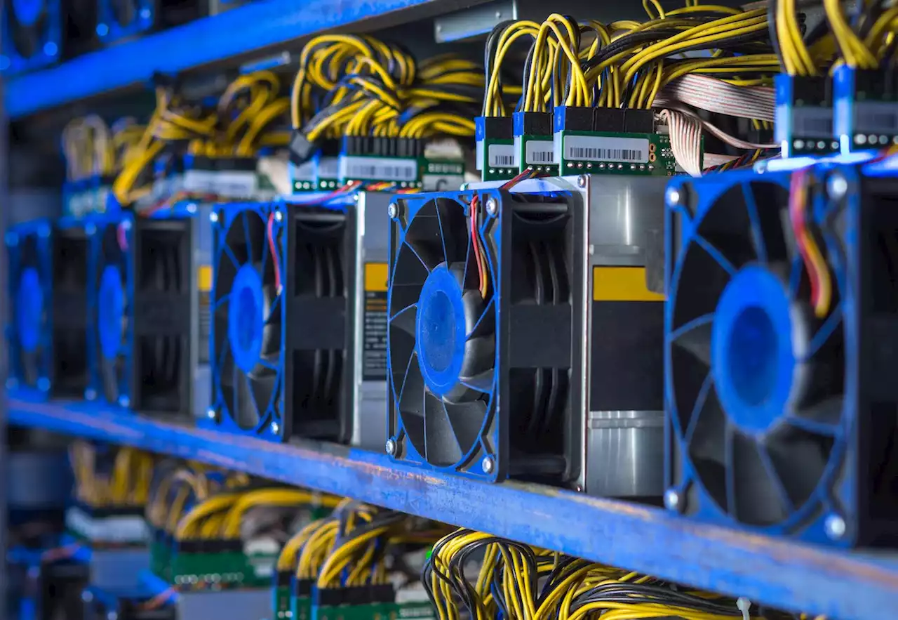 Bitcoin miner Bitfarms scales back growth plans for 2022