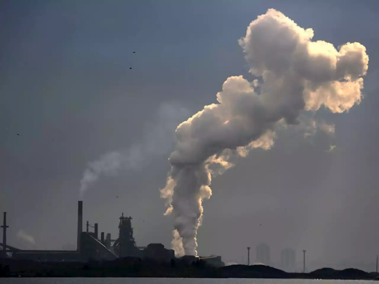 To reduce corporate emissions, CEOs need to be bold risk takers