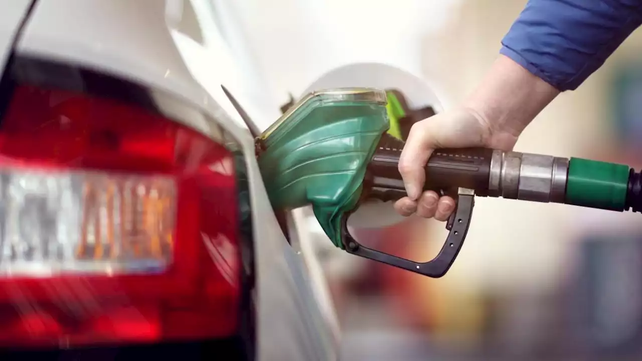 Petrol firm ‘profiteers’ fail to pass on duty cut