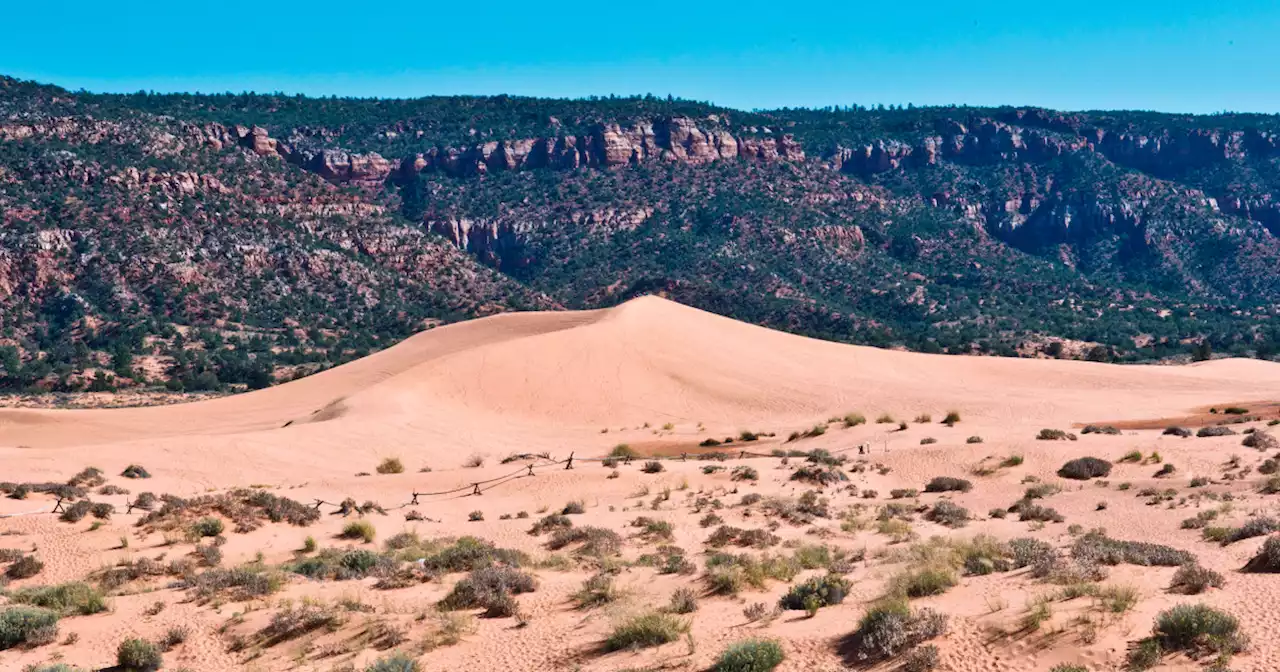 13-year-old boy dies after sand dune collapses on him at Utah park, official say