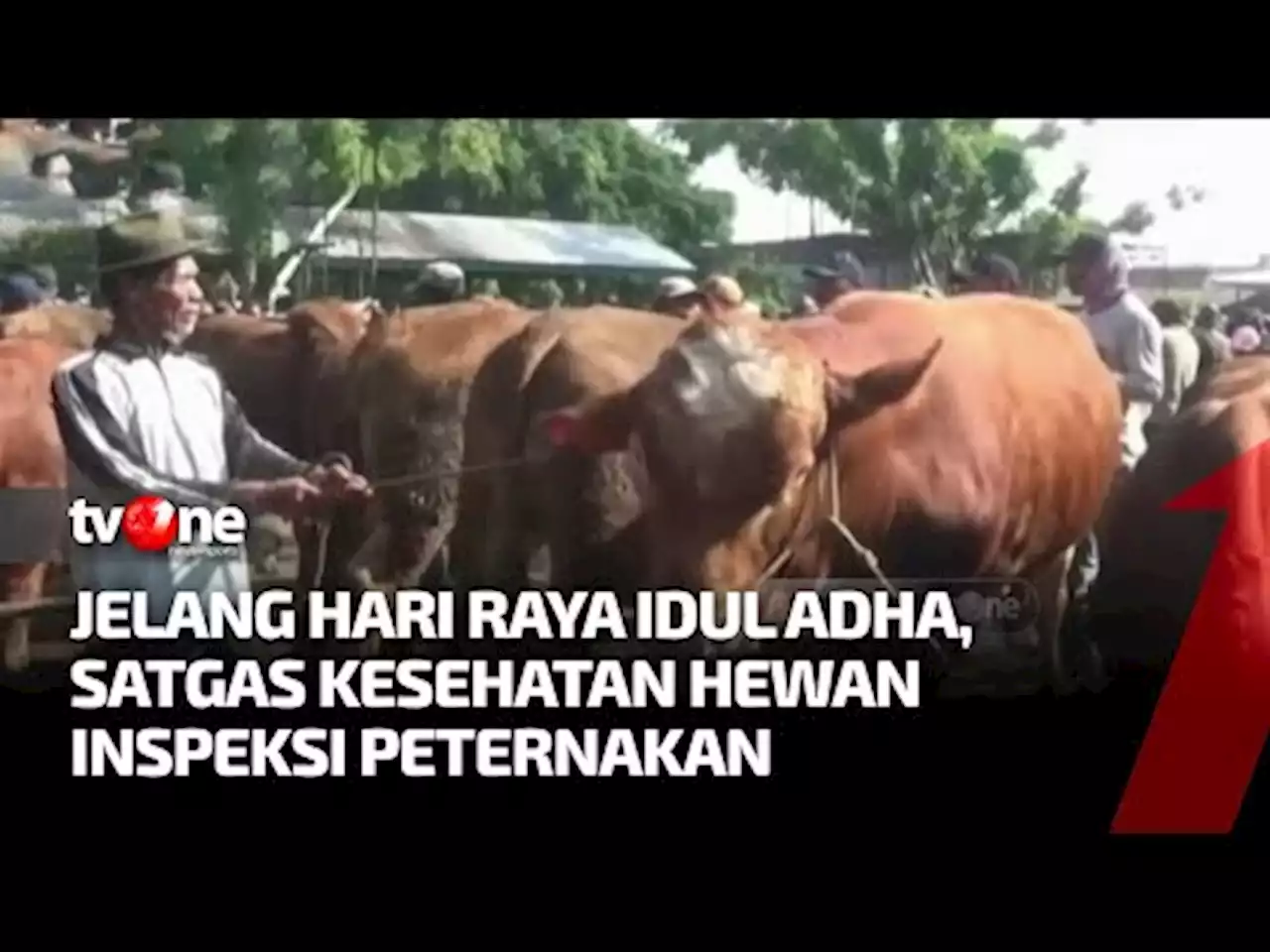 Satgas Pangan & Ternak di Jambi Inspeksi ke Setiap Peternakan - tvOne