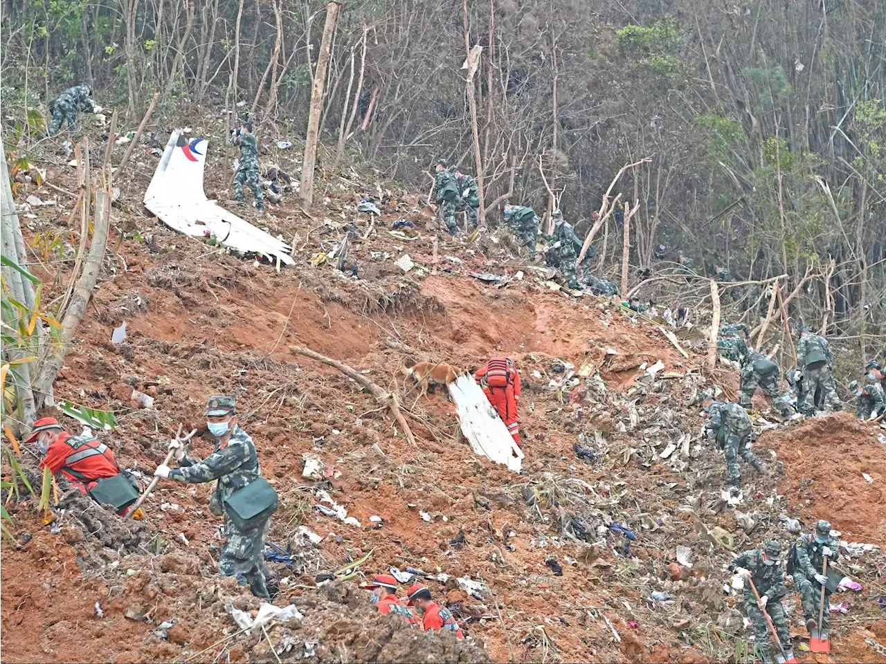 Flight data from China Eastern jet points to intentional nosedive: Report