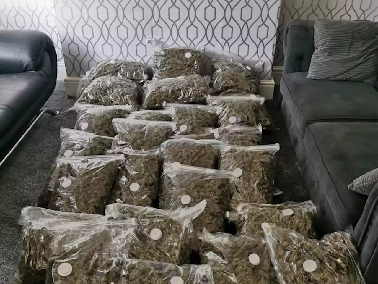 Police throw shade on criminals who lose almost $160,000 worth of weed